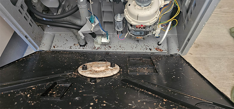 Dishwasher repairs due to cockroaches and pests infestations